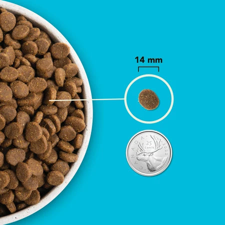 Acana Highest Protein - Pacifica™