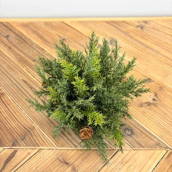 Arborvitae Half Orb