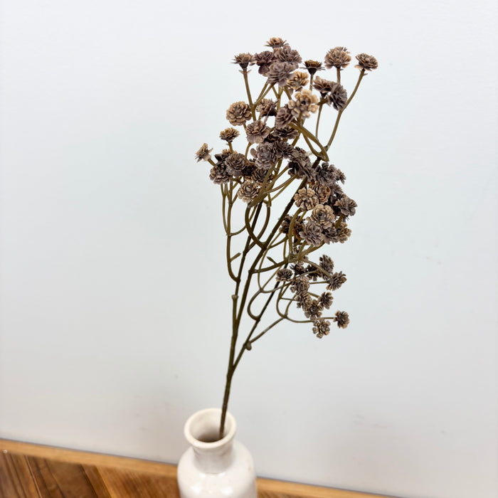 Baby's Breath