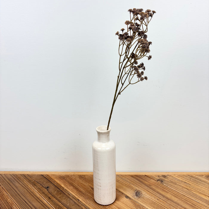 Baby's Breath
