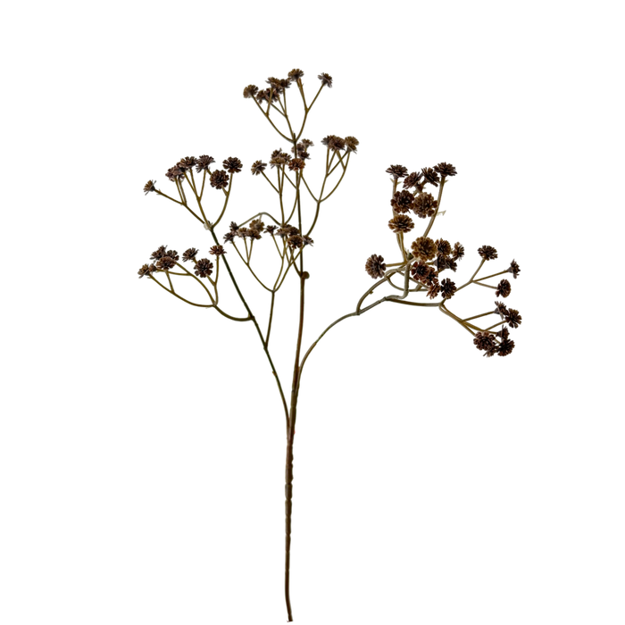 Baby's Breath