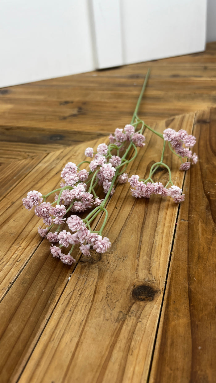 Baby's Breath