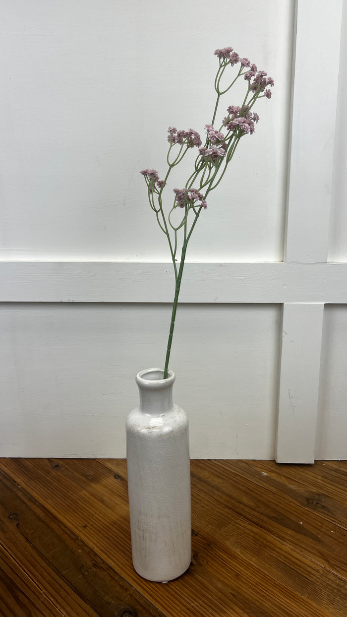 Baby's Breath