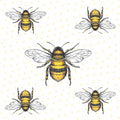Bees • Lunch Napkin