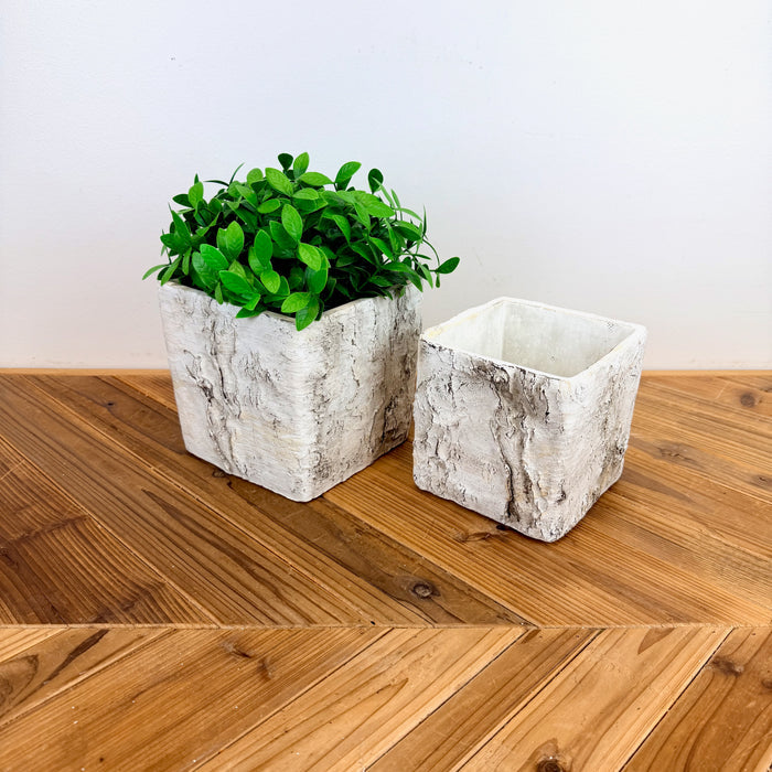 Birch Look Planter, 2 sizes