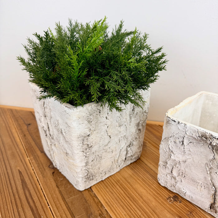Birch Look Planter, 2 sizes