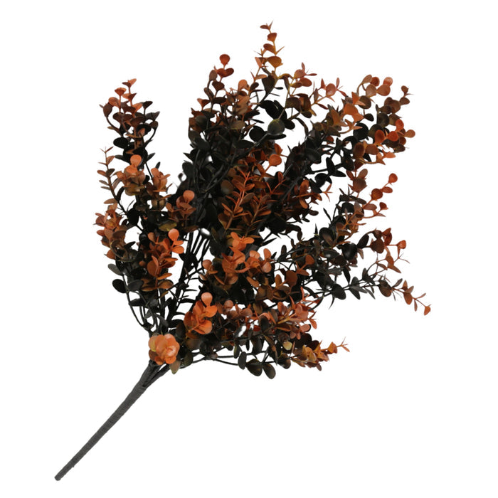 Black And Orange Eucalyptus Pick