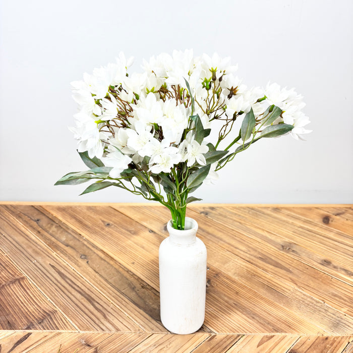 Blossom Bundle