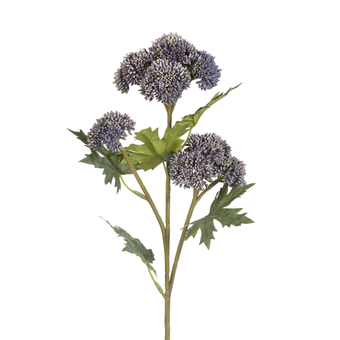 Blue Sedum Spray