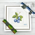 Blue Poppy Designs Blueberries Needlepoint Kit