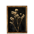 Botanical Wall Art - Delicate Pressed Flowers, 3 styles