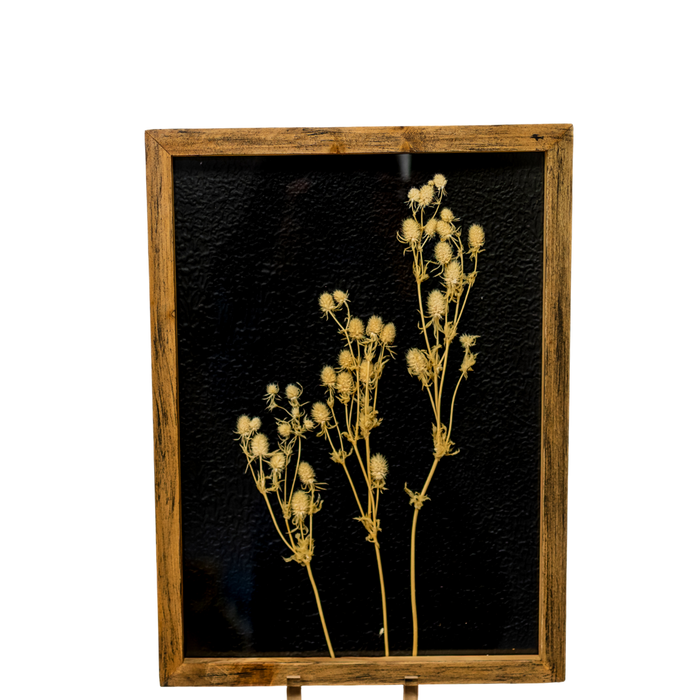 Botanical Wall Art - Delicate Pressed Flowers, 3 styles