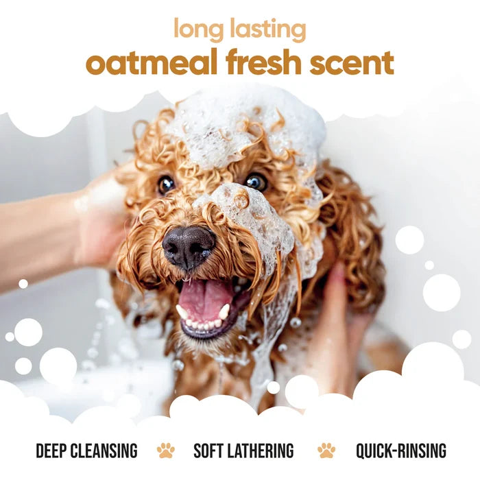 Buddycare Dog Shampoo - Oatmeal 16.9 fl.oz