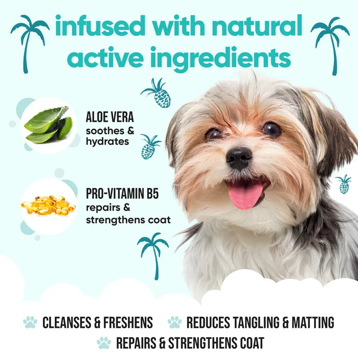 Buddycare Dog Shampoo - Tropical 16.9 fl.oz