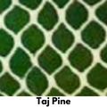Taj Pine