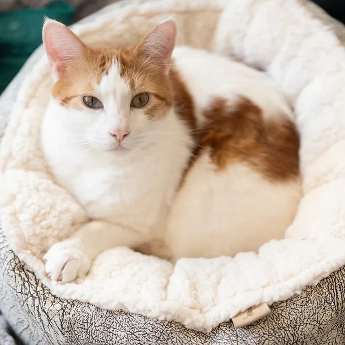 Cat Cuddler Bed