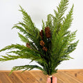 Cedar Bush