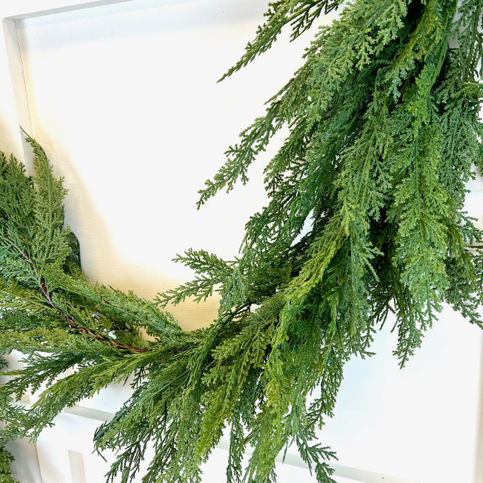Cedar Collection
