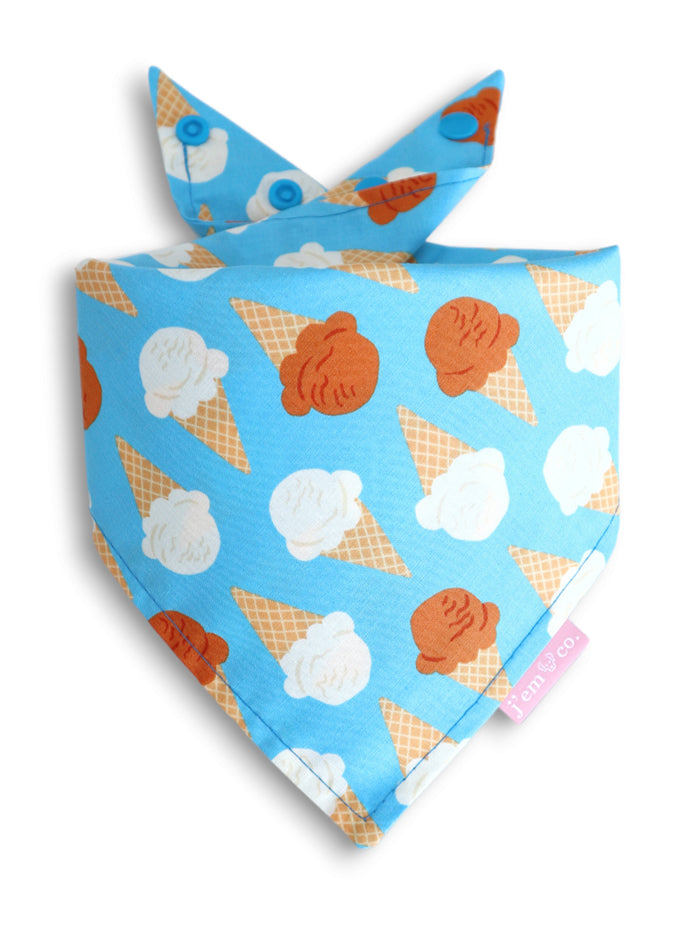 Chasing Summer Bandana