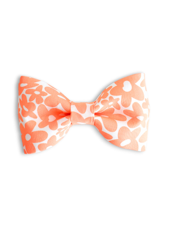 Chasing Summer Bow Tie