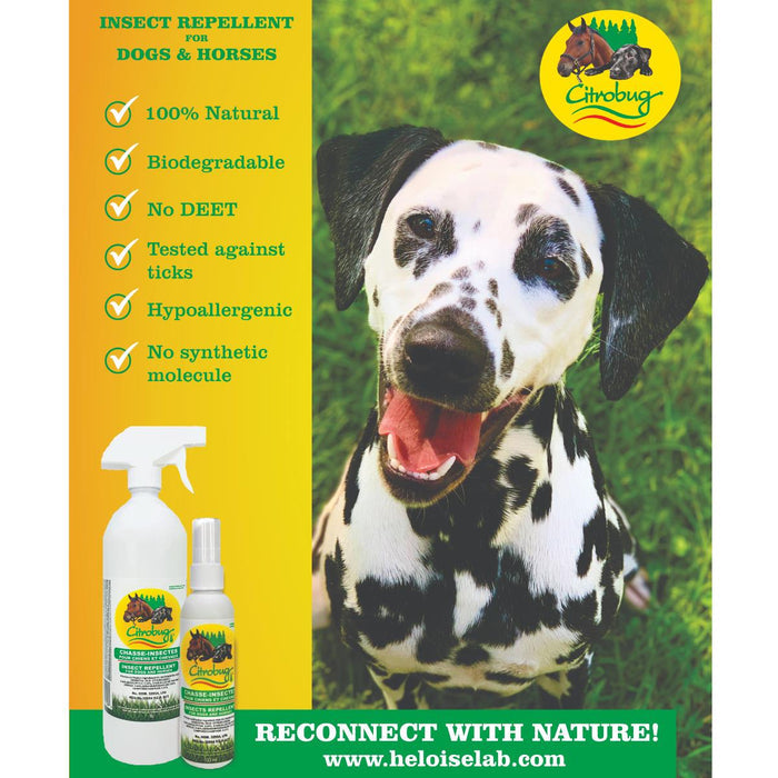 CitroBug DEET-Free Insect Repellent For Dogs & Horses
