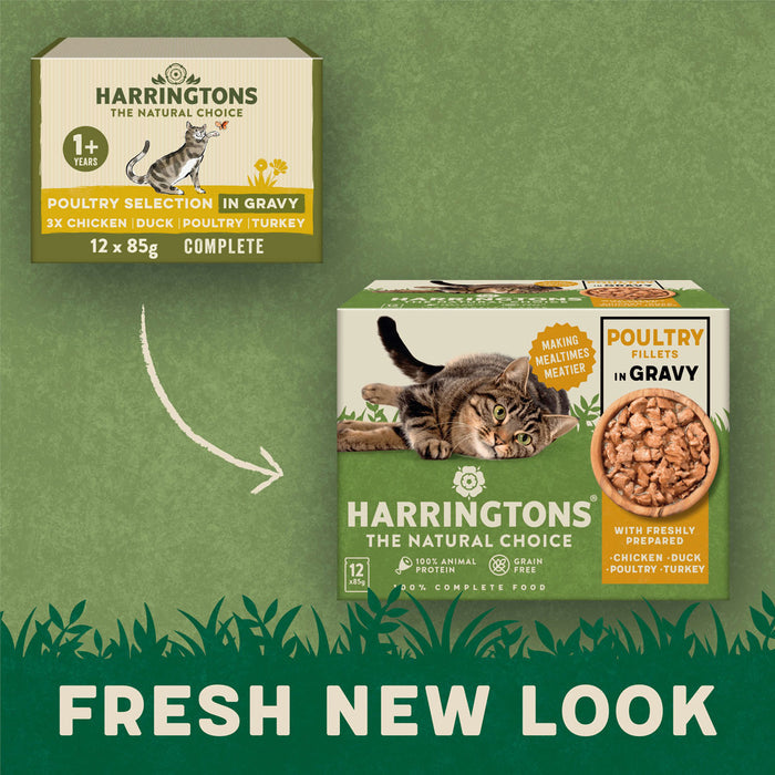 Complete Grain-Free Adult Poultry Selection in Gravy Wet Cat Food Bundle 72x85g