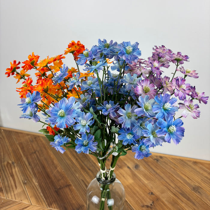 Coreopsis Bundle - 3 Colors