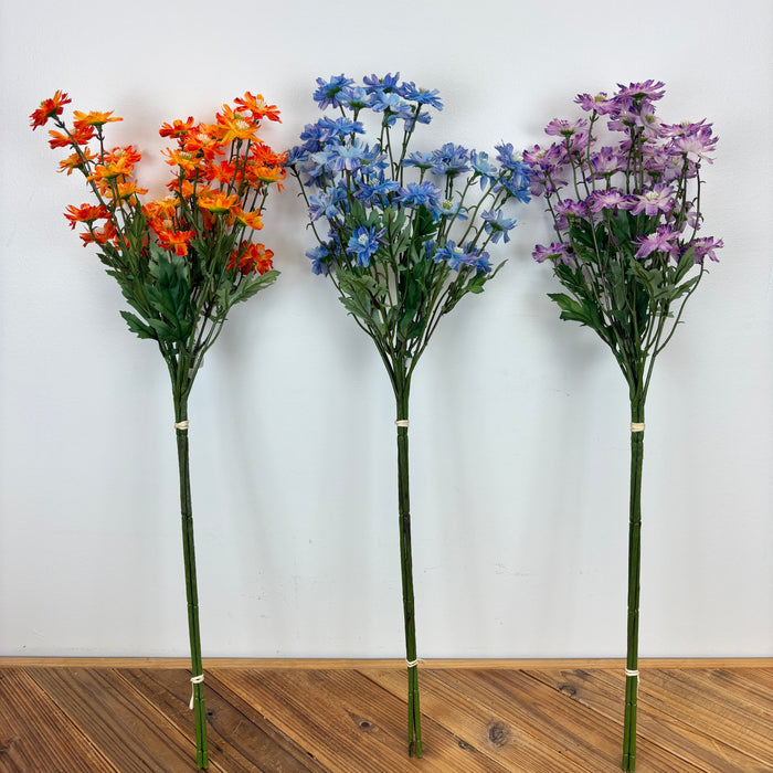 Coreopsis Bundle - 3 Colors
