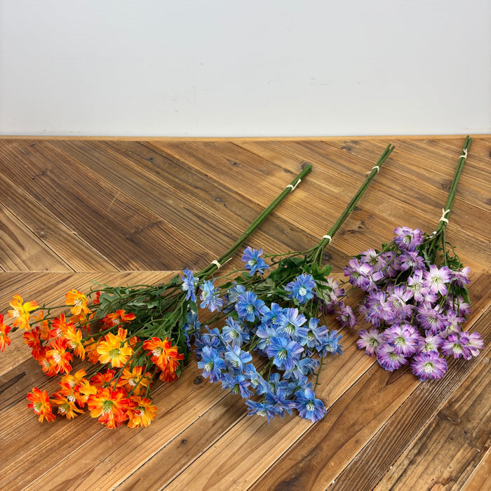 Coreopsis Bundle - 3 Colors