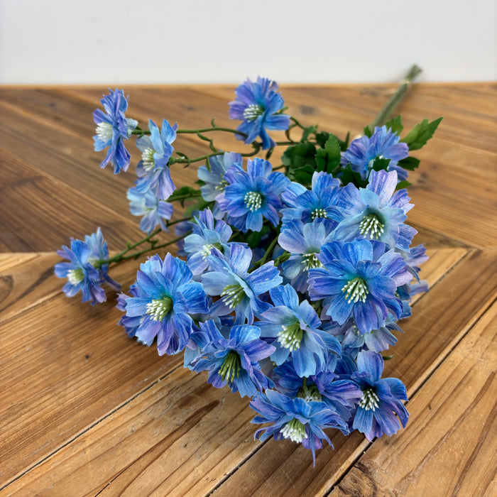 Coreopsis Bundle - 3 Colors
