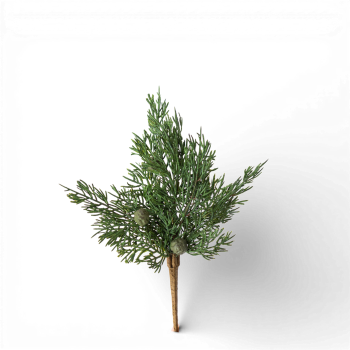 Cypress Pine w/Pods Pick