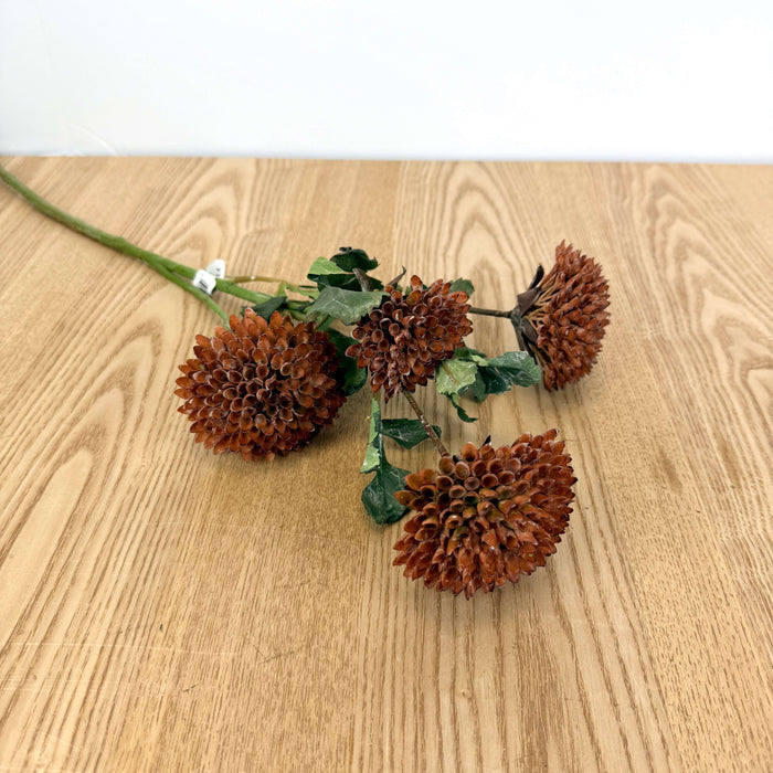 Dahlia Bundle