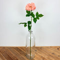 Dahlia Long Stem