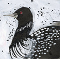 December Loon