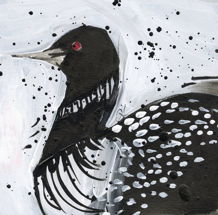 December Loon