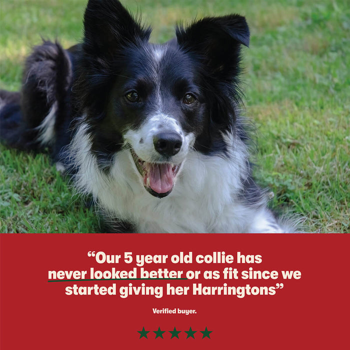 Dry Adult Dog Food Rich in Beef & Rice 4kg