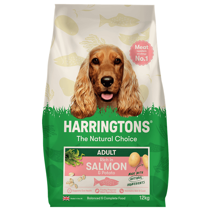 Dry Adult Dog Food Rich in Salmon & Potato 12kg