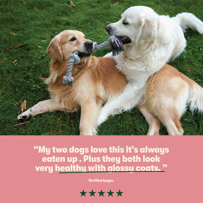 Dry Adult Dog Food Rich in Salmon & Potato 12kg