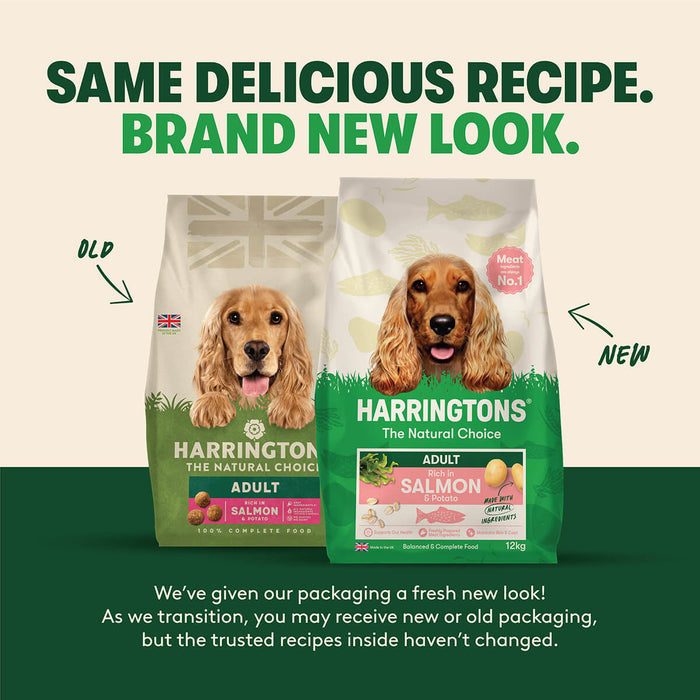 Dry Adult Dog Food Rich in Salmon & Potato 12kg