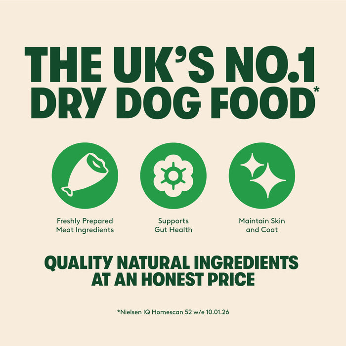 Dry Adult Dog Food Rich in Salmon & Potato 1.7kg