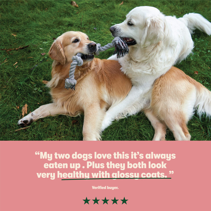Dry Adult Dog Food Rich in Salmon & Potato 1.7kg