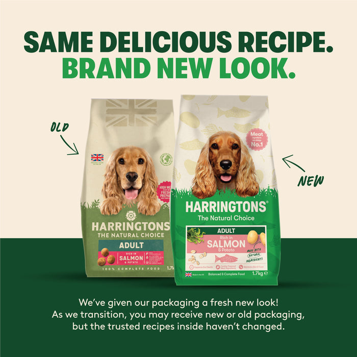 Dry Adult Dog Food Rich in Salmon & Potato 1.7kg