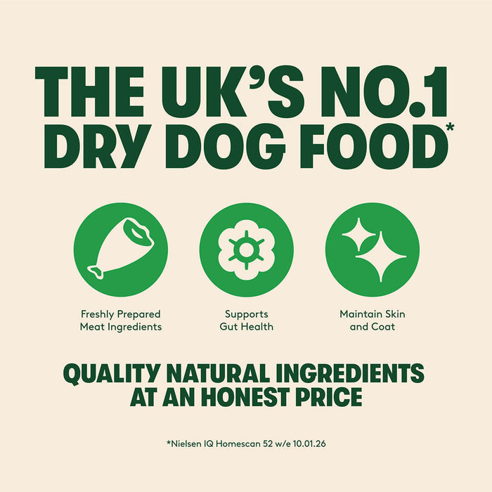 Dry Adult Dog Food Rich in Turkey & Veg 1.7kg