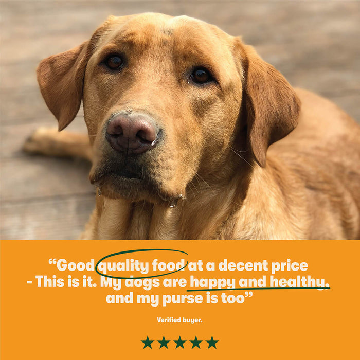Dry Adult Dog Food Rich in Turkey & Veg 1.7kg