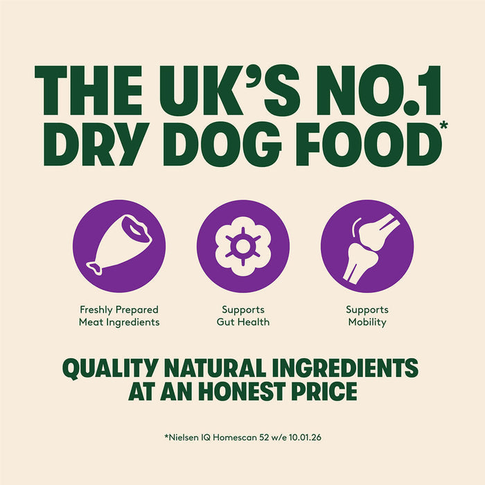 Dry Senior Dog Food Rich in Chicken & Rice 12kg