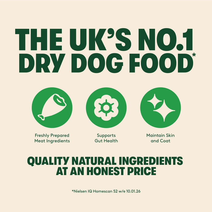 Dry Senior Dog Food Rich in Chicken & Rice 1.7kg