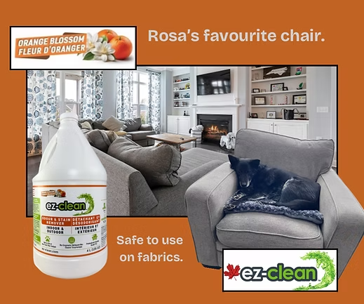 1L Spray Bottle / Orange Blossom