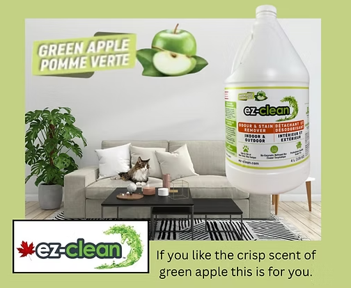1L Spray Bottle / Green Apple