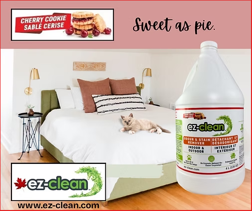 1L Spray Bottle / Cherry Cookie