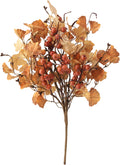 Fall Ginkgo Pick